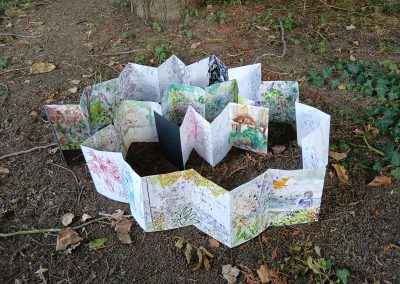 A concertina sketchbook of garden drawings