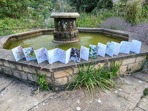 A concertina sketchbook at Hidcote Manor Gardens